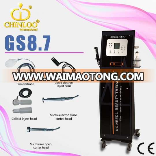 Chinloo Manufacturer Supplier No Needle Mesotherapy Body Slimming Beauty Equipment (GS8.7)