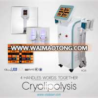 Hot Sale Vela Shape Cryolipolysis Cool Shaping Machine